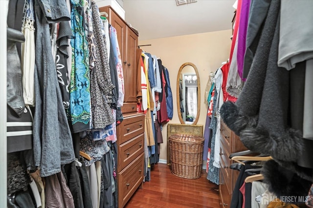 spacious closet with visible vents and dark wood finished floors