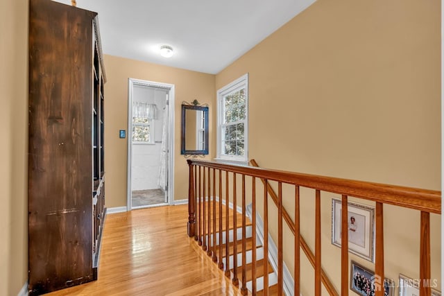 hallway with light hardwood / wood-style flooring