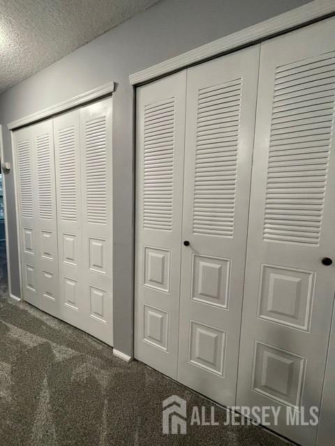 interior details featuring carpet floors and a textured ceiling