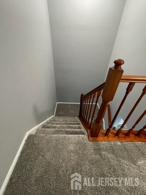 stairway featuring carpet