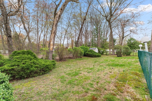 view of yard featuring a shed and an outdoor structure