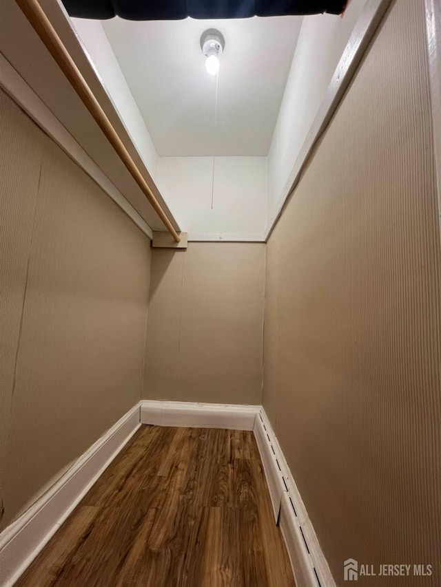 spacious closet with hardwood / wood-style floors