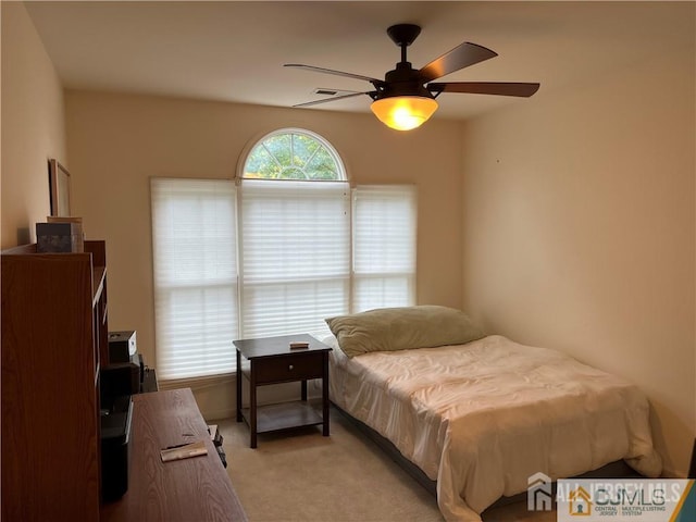 1 Silcox Pl, Franklin, NJ 08873 - bedroom featuring light carpet and a ceiling fan