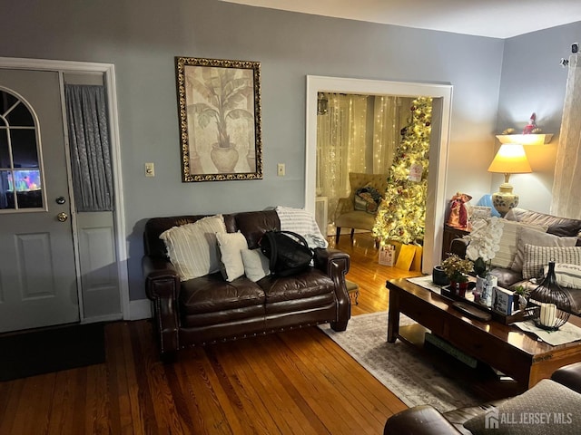 living room with wood-type flooring