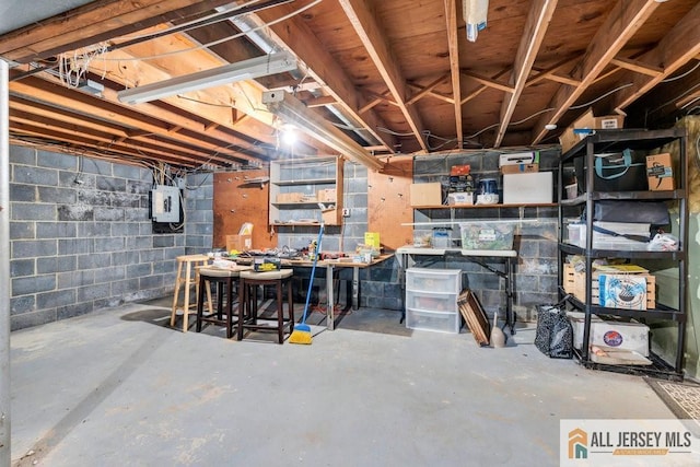 unfinished below grade area featuring concrete block wall and electric panel