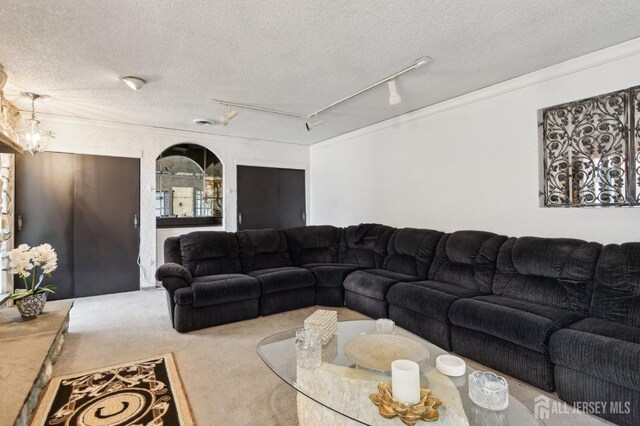 living room featuring carpet, ornamental molding, track lighting, and a textured ceiling