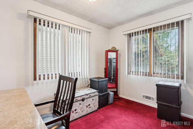 office featuring a textured ceiling, carpet floors, and baseboards