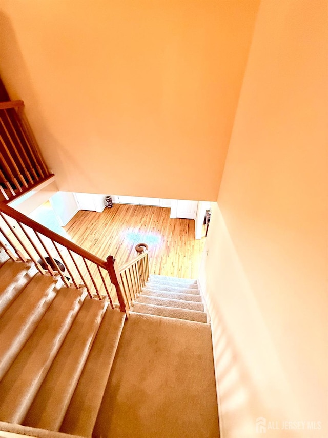 5 Angela Ct, Piscataway, NJ 08854 - photo 23
