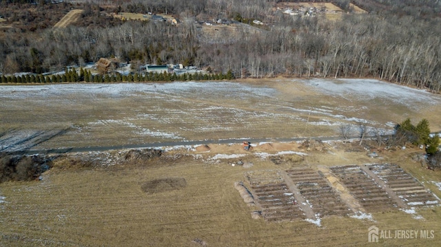 drone / aerial view featuring a rural view