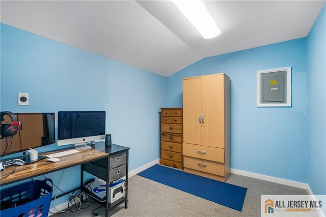 119 Brown Ave, Iselin, NJ 08830 - carpeted home office with lofted ceiling and electric panel