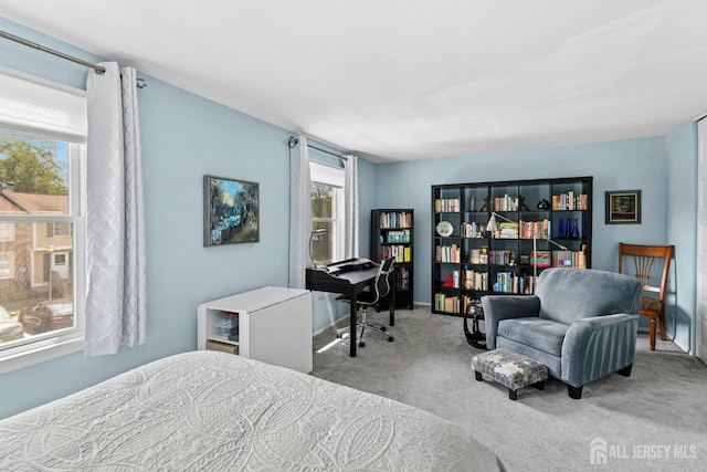 675 Bound Brook Rd Unit C0019, Dunellen, NJ 08812 - carpeted bedroom featuring baseboards