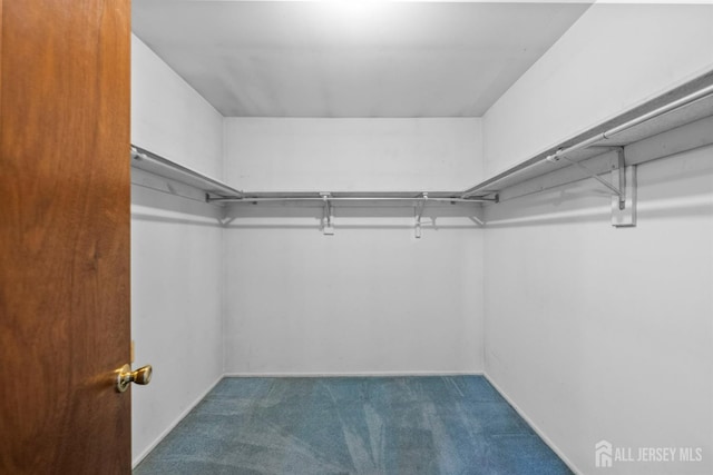 85 Hidden Lake Dr, North Brunswick, NJ 08902 - spacious closet with carpet