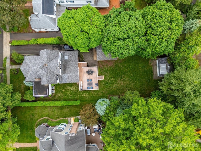 bird's eye view