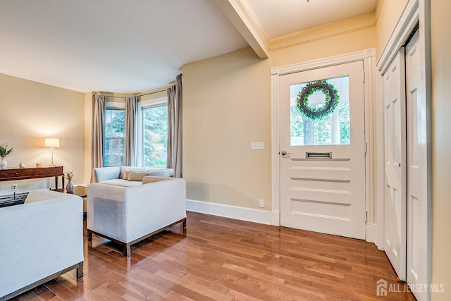 entrance foyer featuring plenty of natural light, wood finished floors, and baseboards