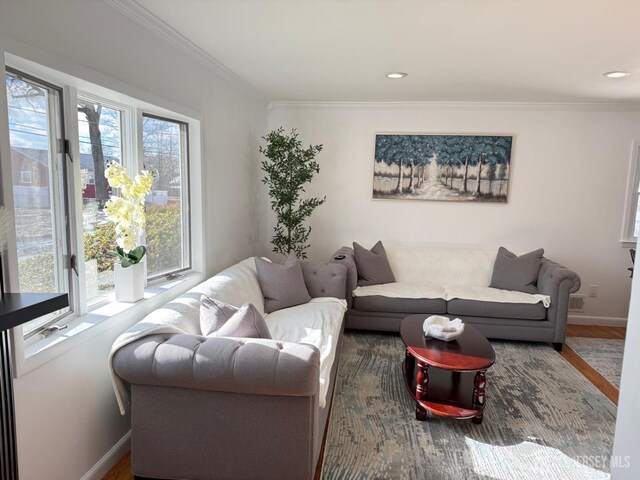 living room with hardwood / wood-style floors, crown molding, and plenty of natural light