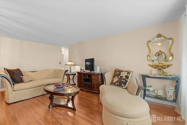 living room featuring light hardwood / wood-style flooring