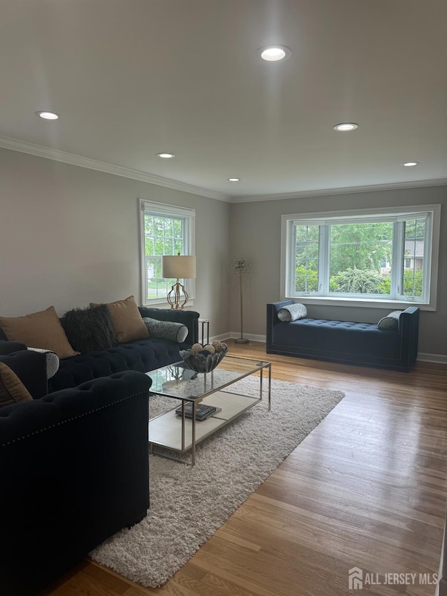 7 Dobson Rd, East Brunswick, NJ 08816 - photo 34