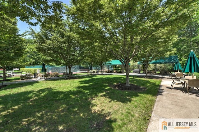 118 Andover Dr, South Brunswick, NJ 08824 - photo 62