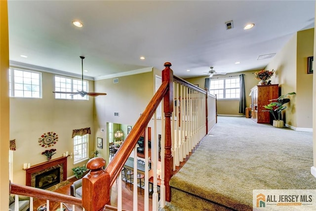 118 Andover Dr, South Brunswick, NJ 08824 - photo 39