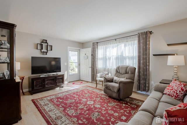 living room with light wood-type flooring