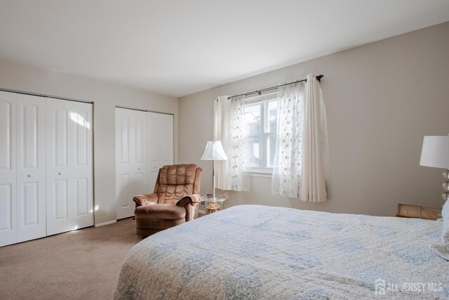 bedroom with carpet and multiple closets