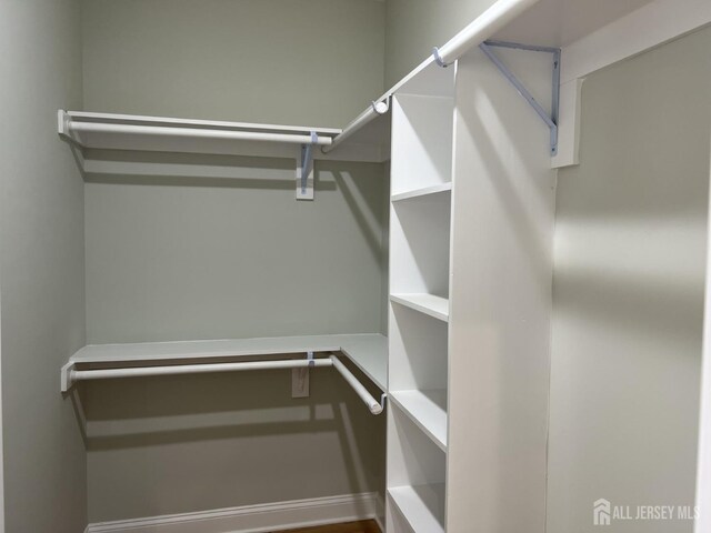 21 Catherine St, Carteret, NJ 07008 - view of spacious closet