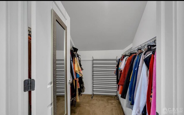 spacious closet featuring carpet flooring and lofted ceiling