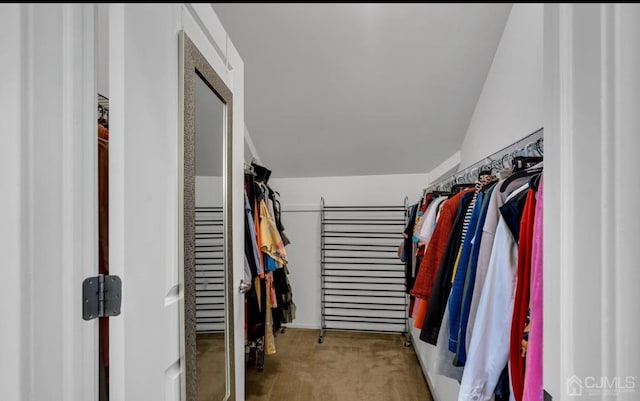 spacious closet featuring carpet flooring