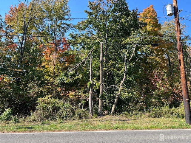 586 Ridge Rd, South Brunswick NJ, 08852 land for sale