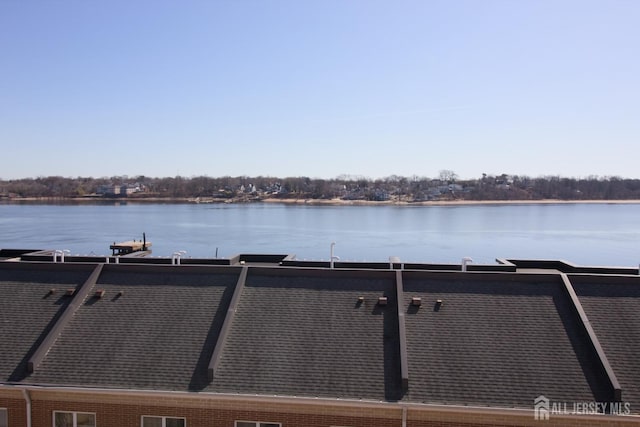 view of water feature with a boat dock