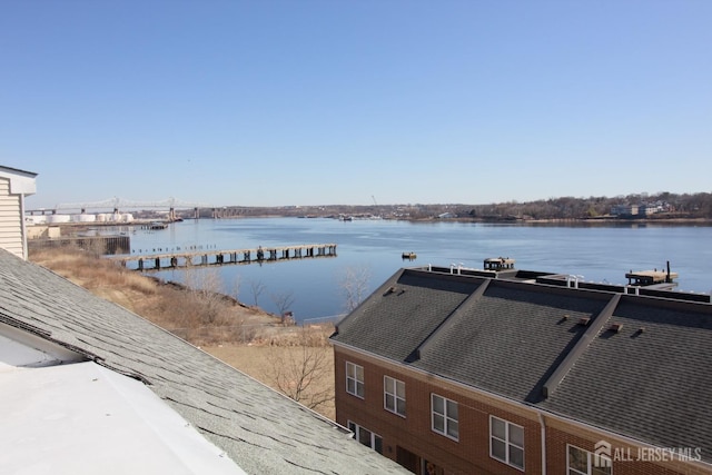 dock area with a water view