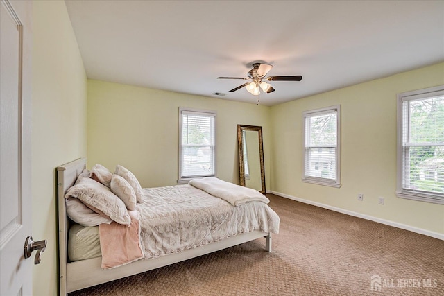 9 Sedgwick St, Jamesburg, NJ 08831 - bedroom featuring multiple windows, carpet, and ceiling fan