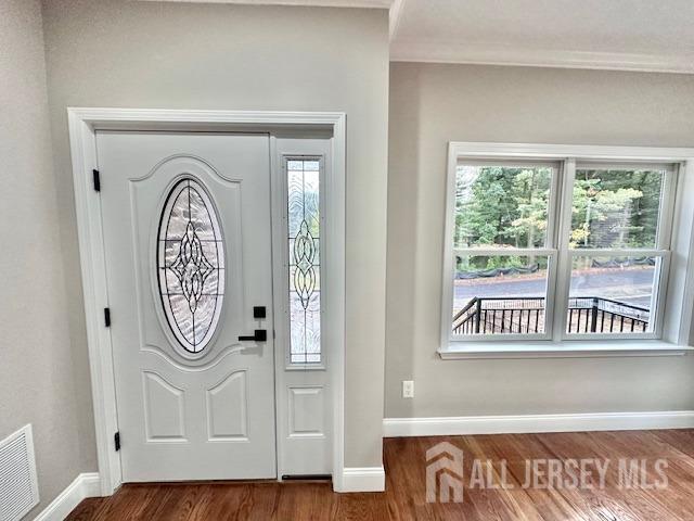 entrance foyer with dark wood-type flooring