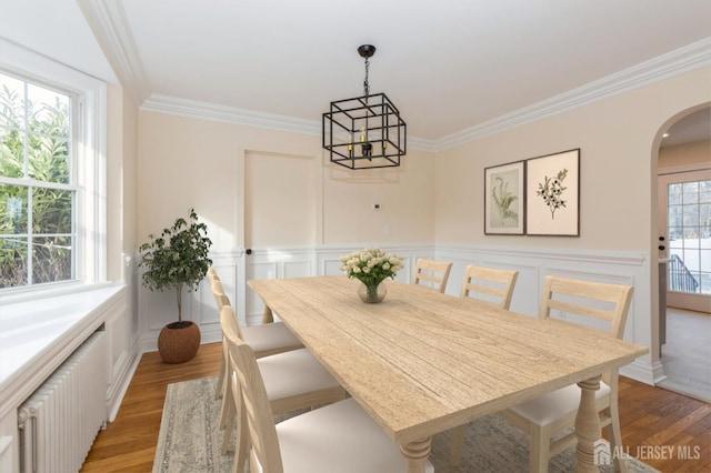 dining area with a notable chandelier, a wealth of natural light, radiator heating unit, and light hardwood / wood-style floors