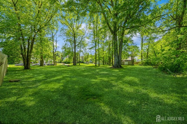 350 Church Ln, North Brunswick, NJ 08902 - view of green lawn