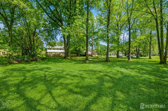 350 Church Ln, North Brunswick, NJ 08902 - view of grassy yard