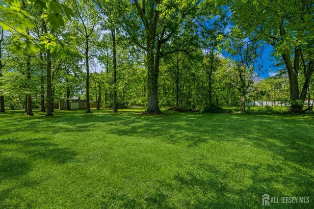 350 Church Ln, North Brunswick, NJ 08902 - view of green lawn