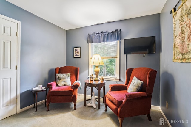 66 Spring Hill Rd, Old Bridge, NJ 07747 - photo 27