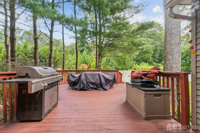66 Spring Hill Rd, Old Bridge, NJ 07747 - photo 14