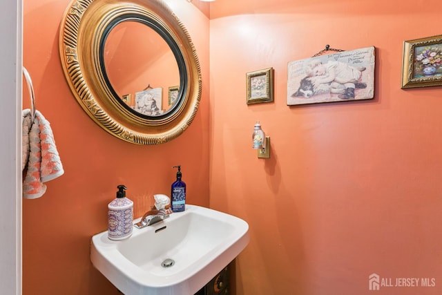 66 Spring Hill Rd, Old Bridge, NJ 07747 - photo 20