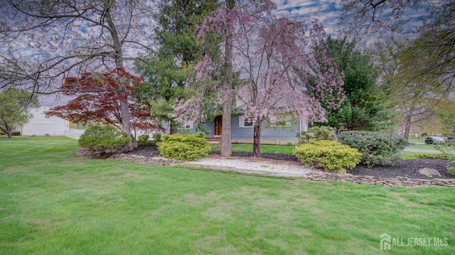 view of green lawn
