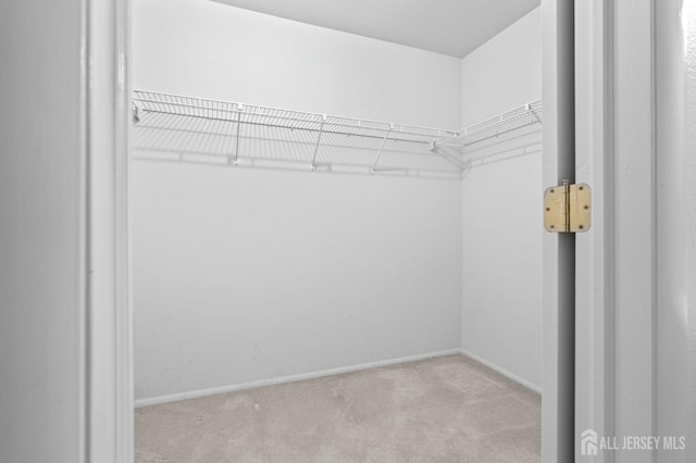620 Deal Rd Unit 620A, Monroe, NJ 08831 - spacious closet featuring carpet