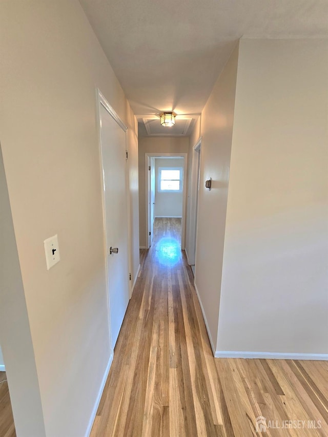20 Ellingham Ave, Monroe, NJ 08831 - corridor featuring light wood-type flooring, baseboards, and attic access