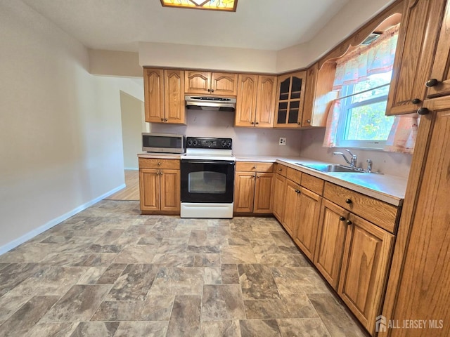 20 Ellingham Ave, Monroe, NJ 08831 - kitchen with electric range, under cabinet range hood, stainless steel microwave, a sink, and baseboards