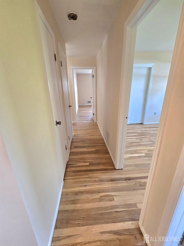 20 Ellingham Ave, Monroe, NJ 08831 - hall with light wood finished floors and baseboards
