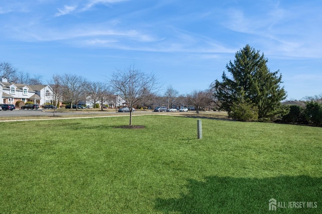 view of yard featuring a residential view