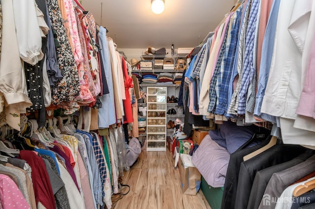 1 Wilfred Rd, Manalapan, NJ 07726 - walk in closet with wood finished floors