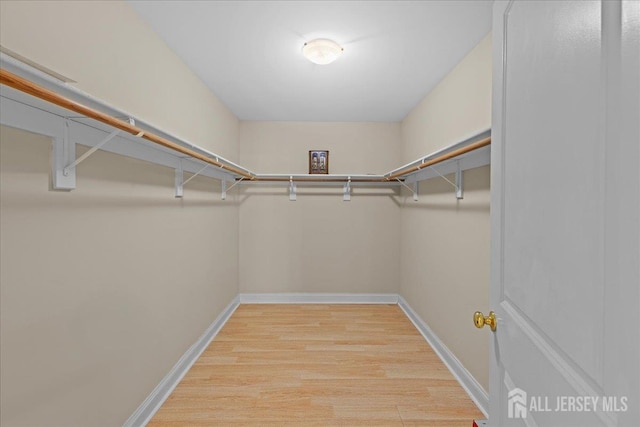7 Rupprecht Rd, North Brunswick, NJ 08902 - photo 29