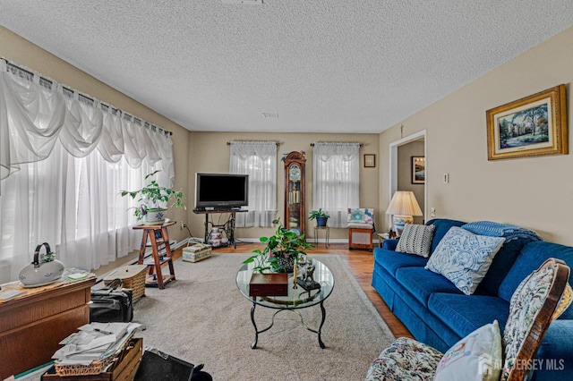 309 Sharon Way Unit A, Monroe, NJ 08831 - living room with wood finished floors, a wealth of natural light, and a textured ceiling