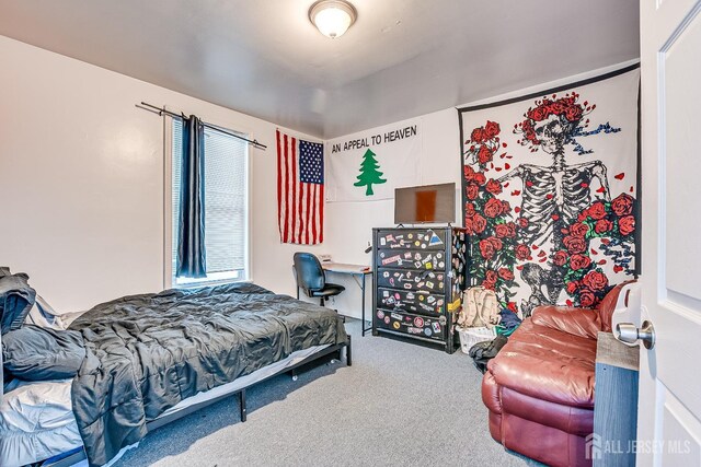 bedroom with carpet floors